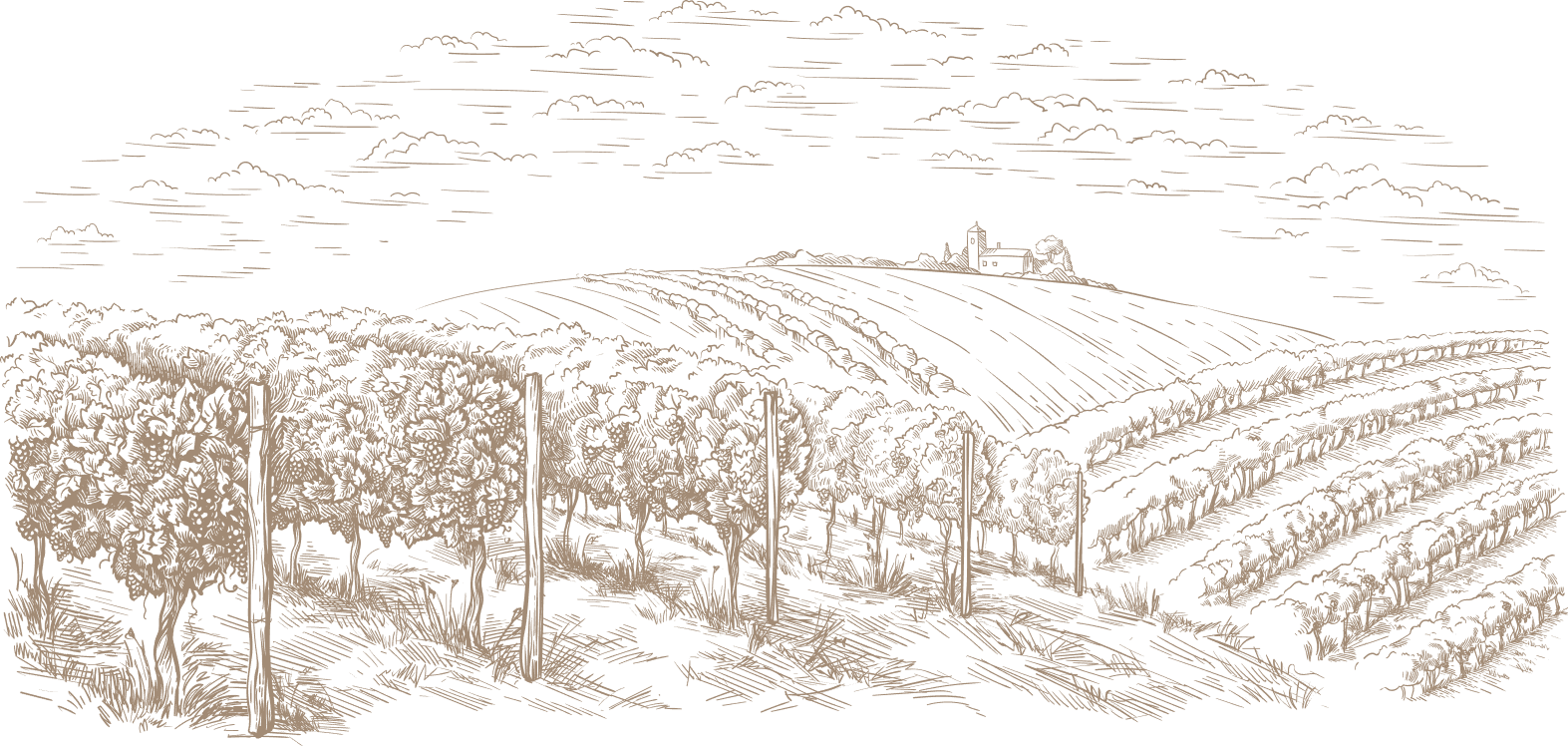 site image